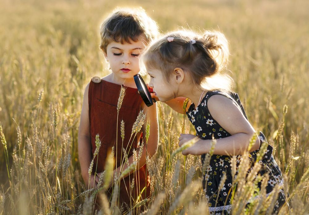 Летняя прогулка