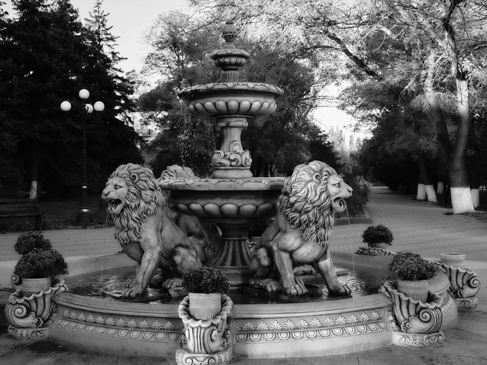 Photograph by Михаил Нестеренко