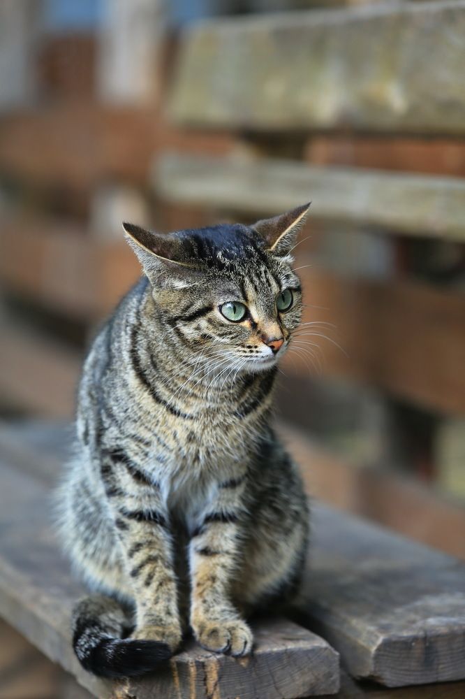 Photograph by Ирина Сушко