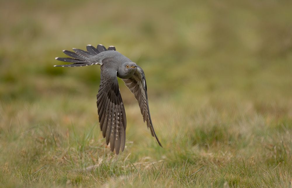 Фотография автора MARIA KULA