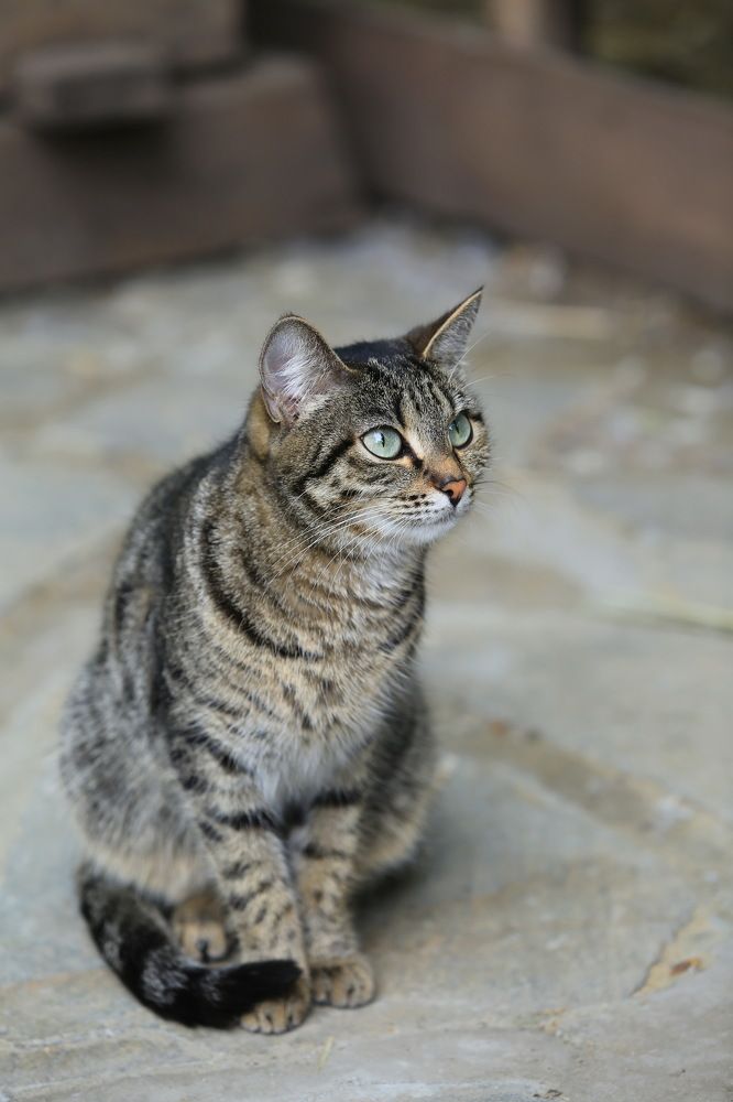 Photograph by Ирина Сушко