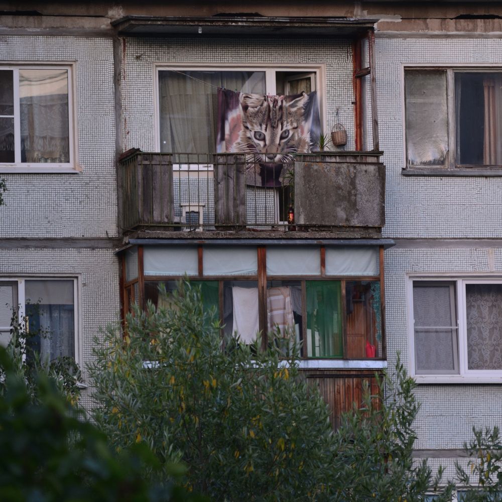 Photograph by Александр Калегин