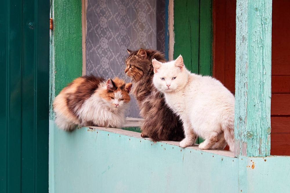 Photograph by Андрей Востриков