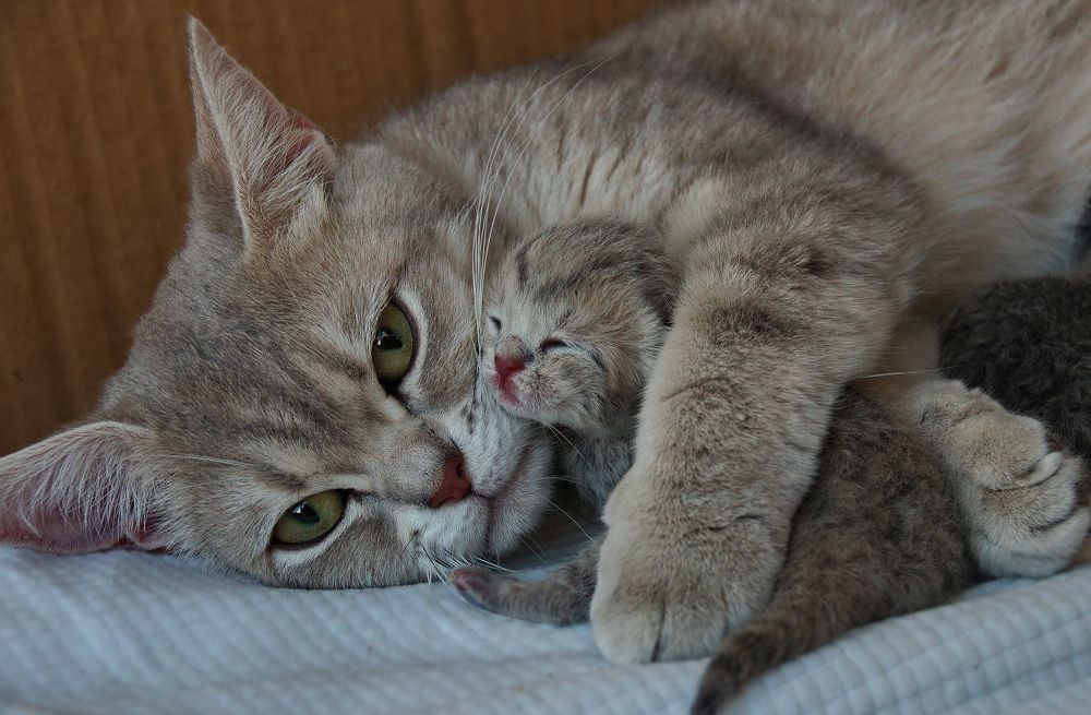 Photograph by Dmitry Shmayonok