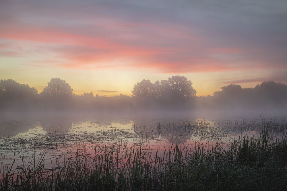 Зорька на полесье