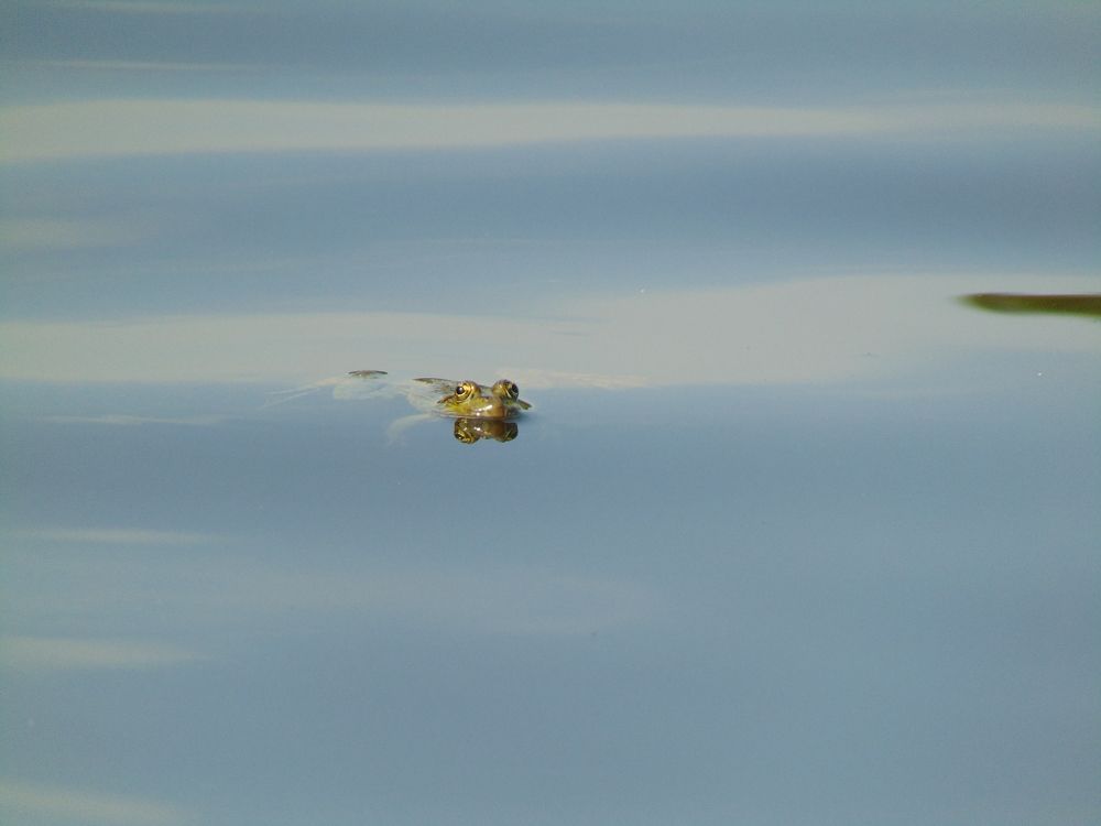 Photograph by Anna Veľasová