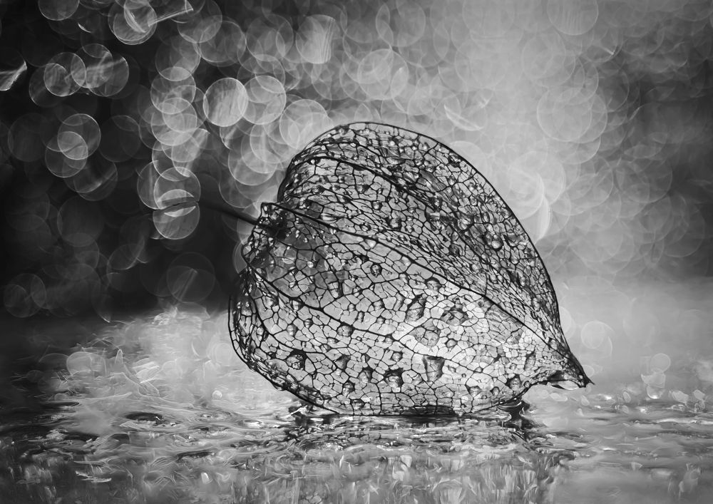 Photograph by Третьякова Анастасия