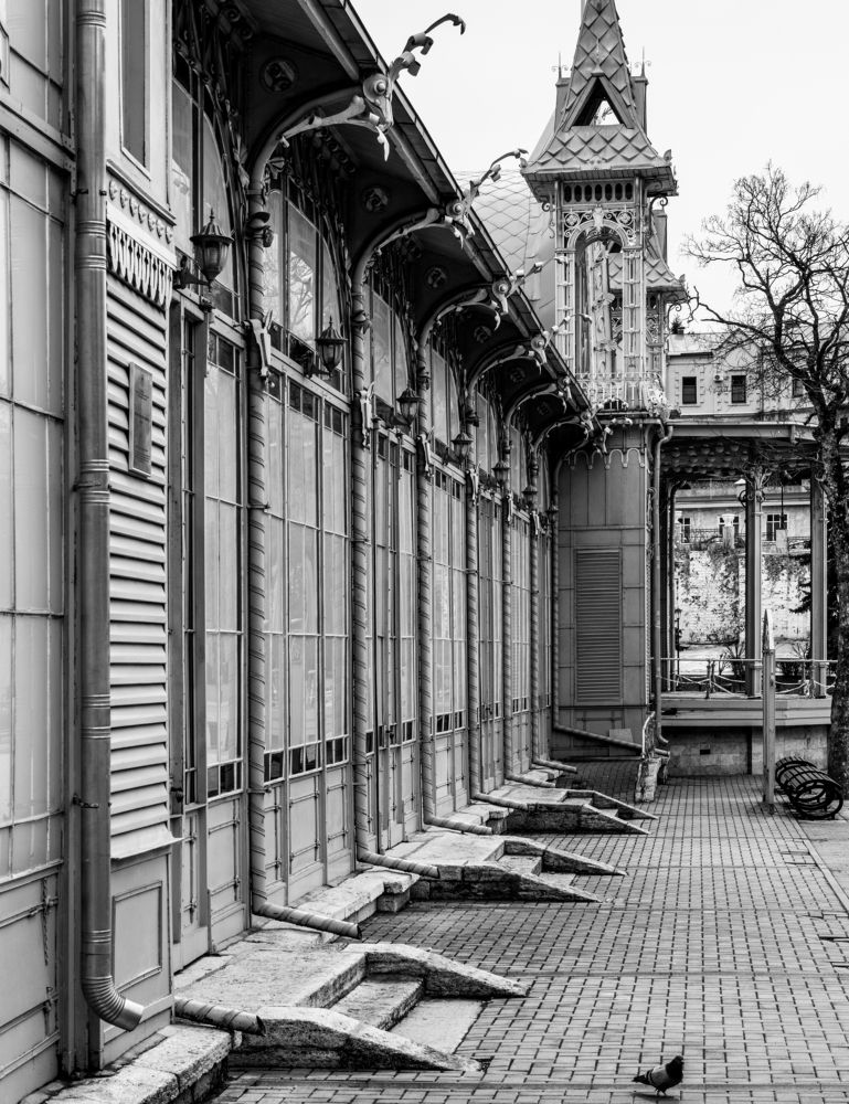 Photograph by Elena Lopatina