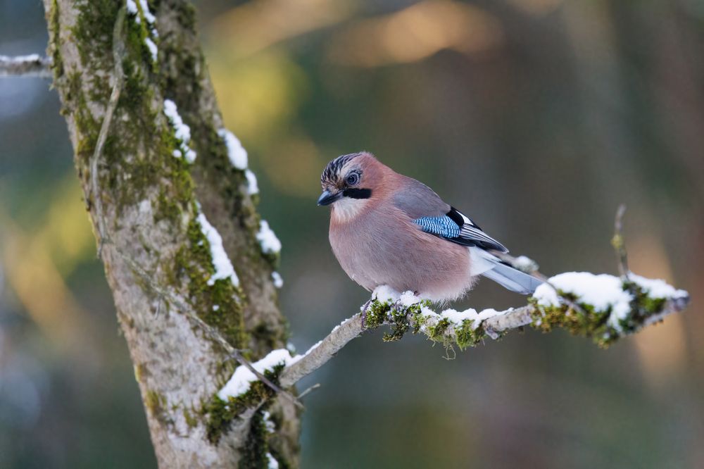 Photograph by Egor Rokita