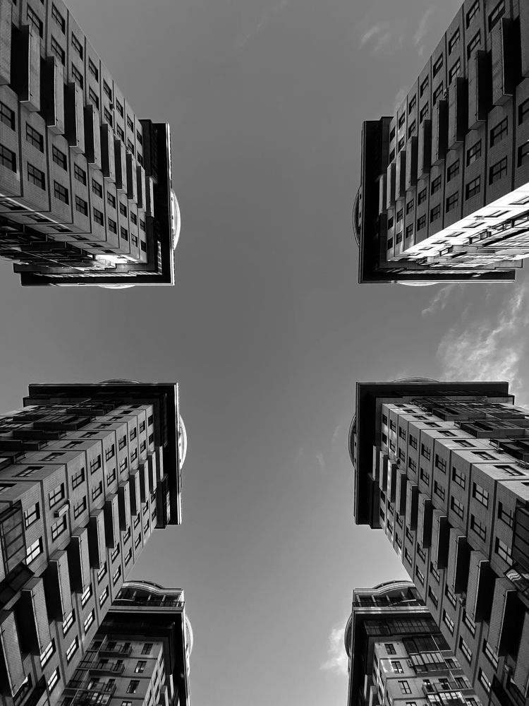 Фотография автора Анна Могилева