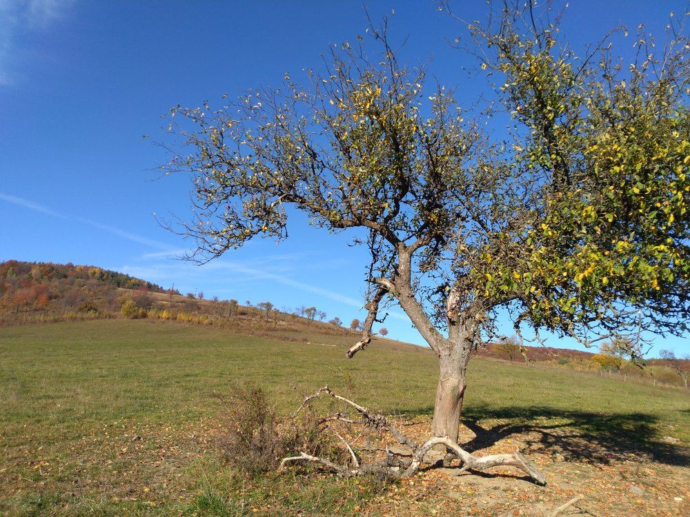 Photograph by Anna Veľasová