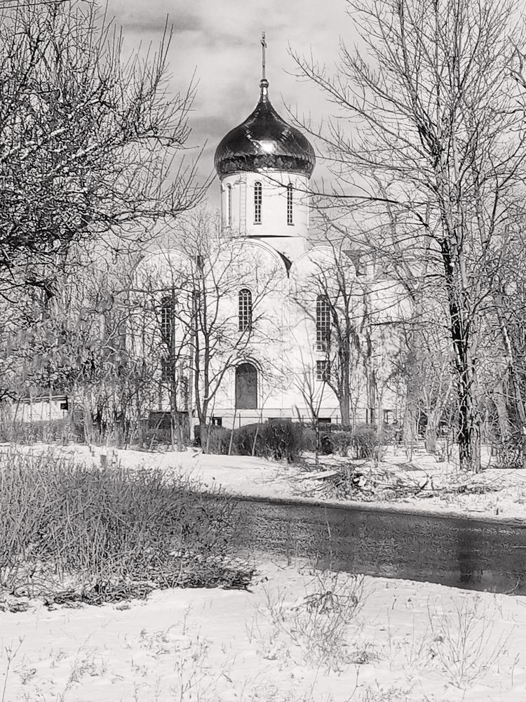 Photo #8841448