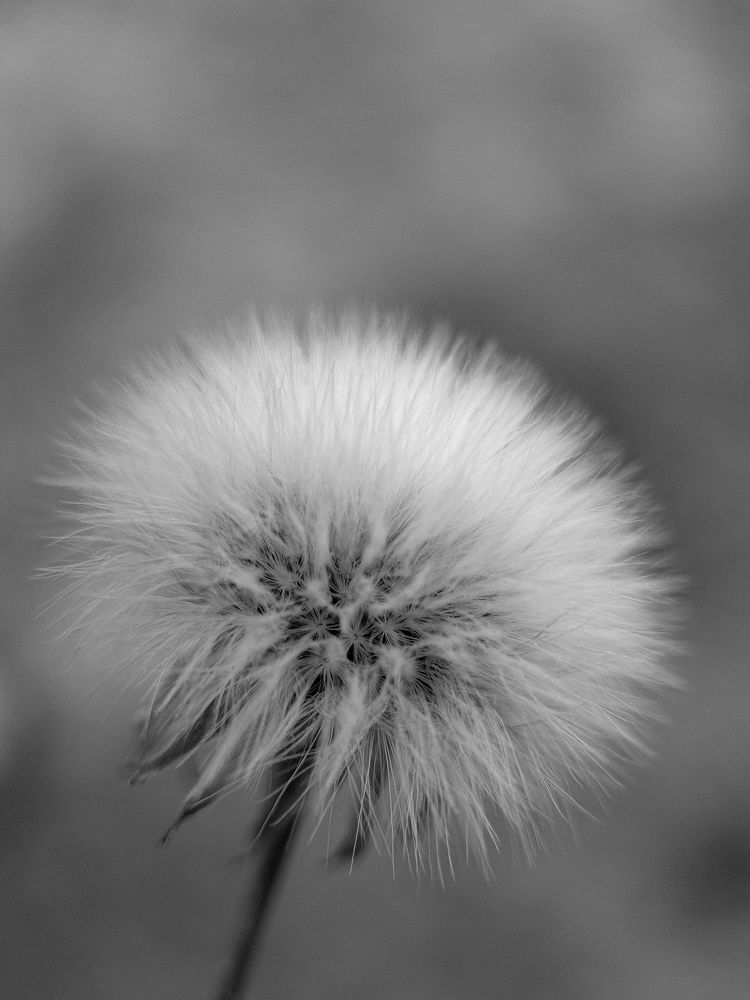 Photograph by Лариса Когтева