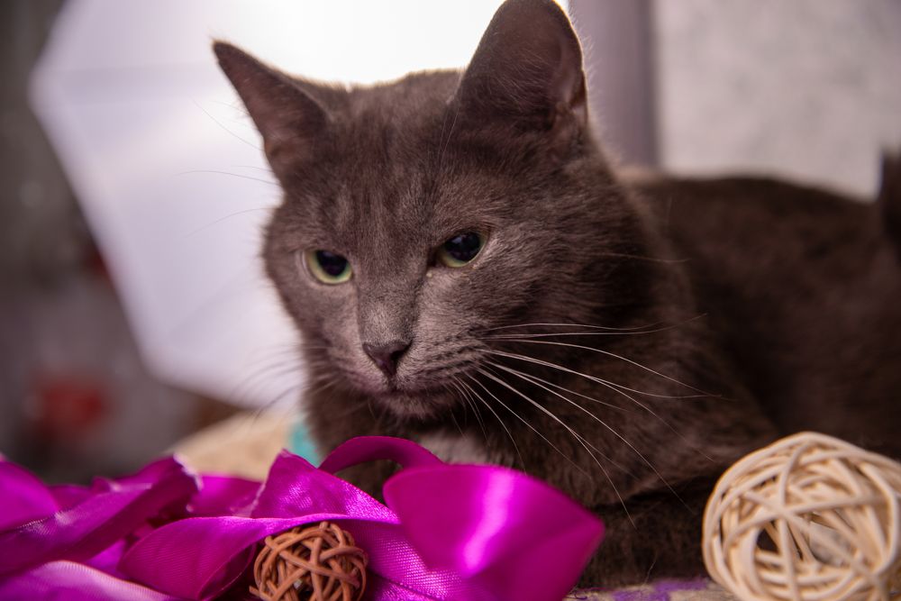 Photograph by Раиса Иванова