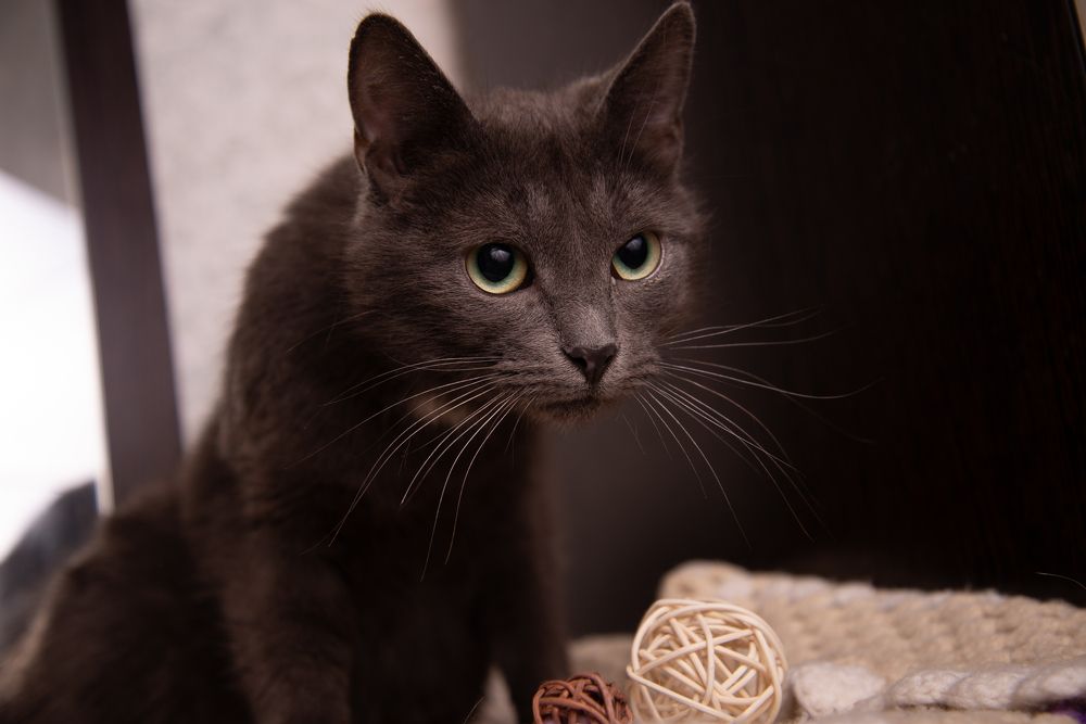 Photograph by Раиса Иванова