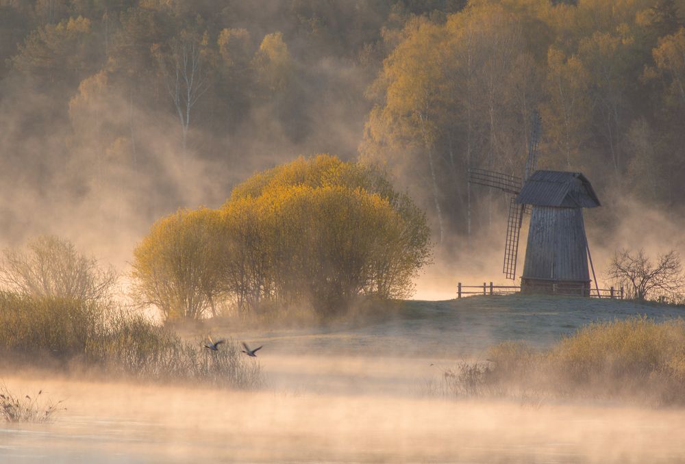 Туманное утро