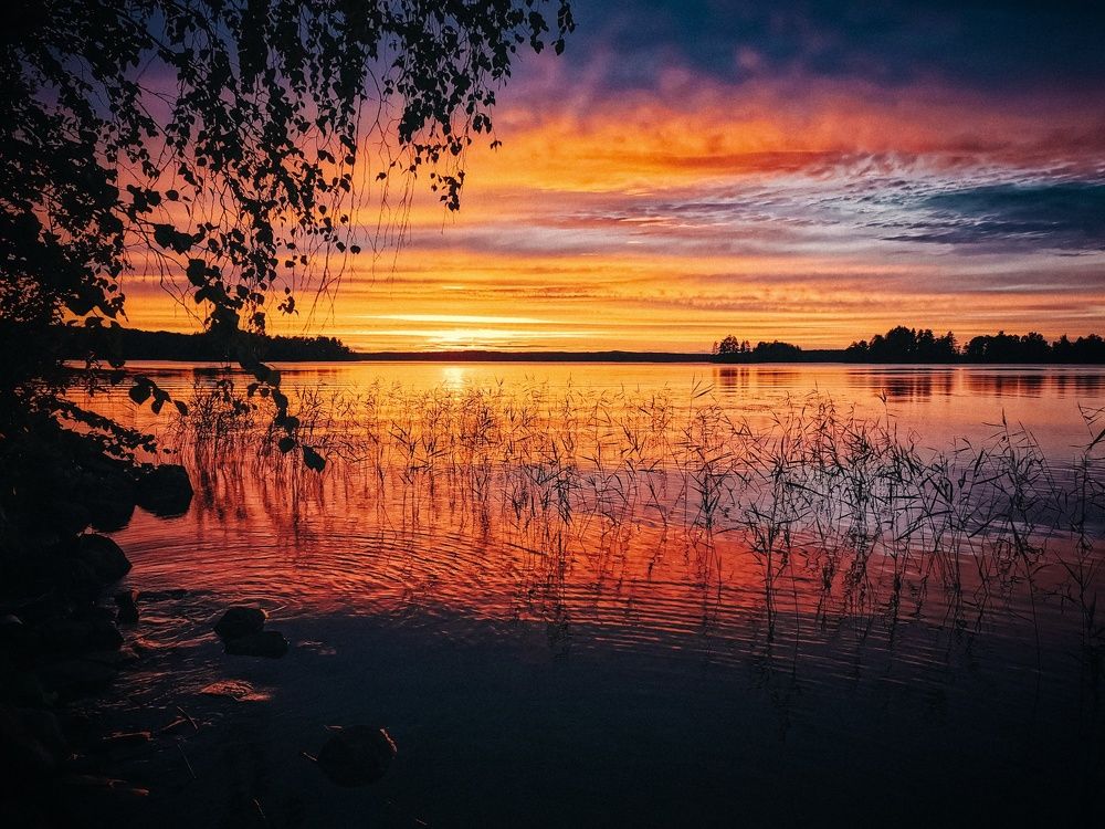 Photograph by Никитина Надежда