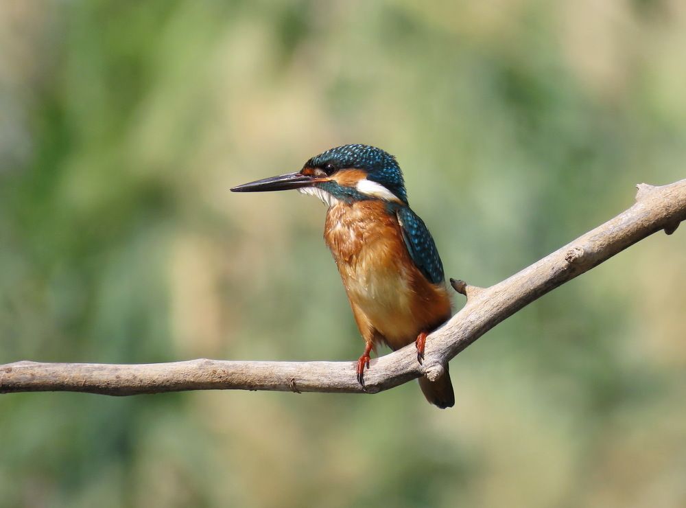 Photograph by Klara Leonenko