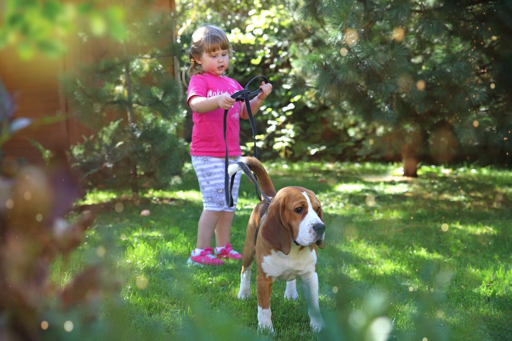 Photograph by Любовь Перевозникова