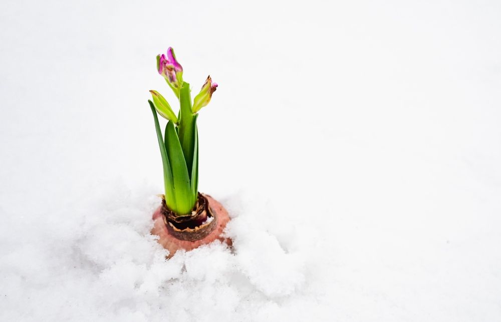 Photograph by Вероника Гоферт