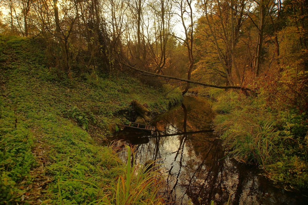 Photograph by Андрей Михайлов