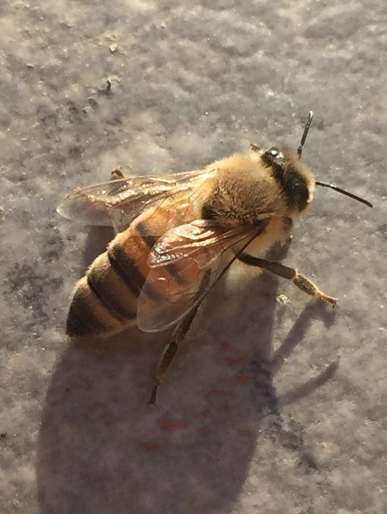 Photograph by maria gabriela alegria