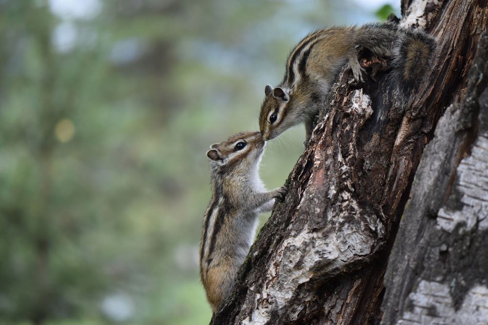 Love makes the world go round.