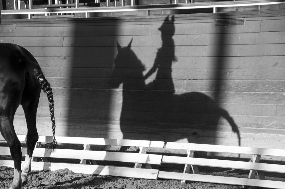 Photograph by Юлия Дудкова