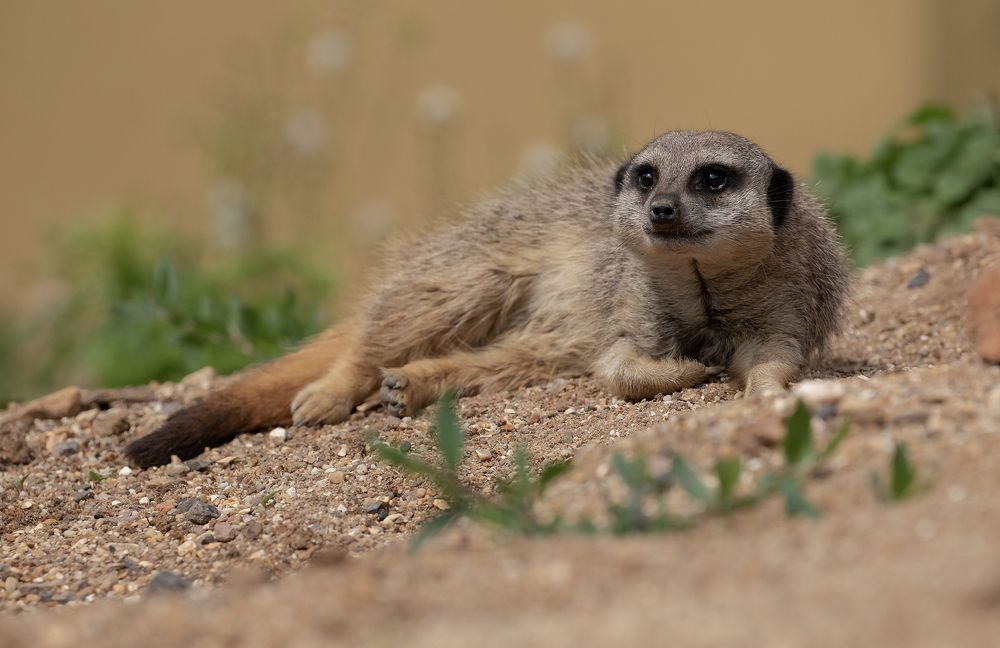 Фотография автора MARIA KULA