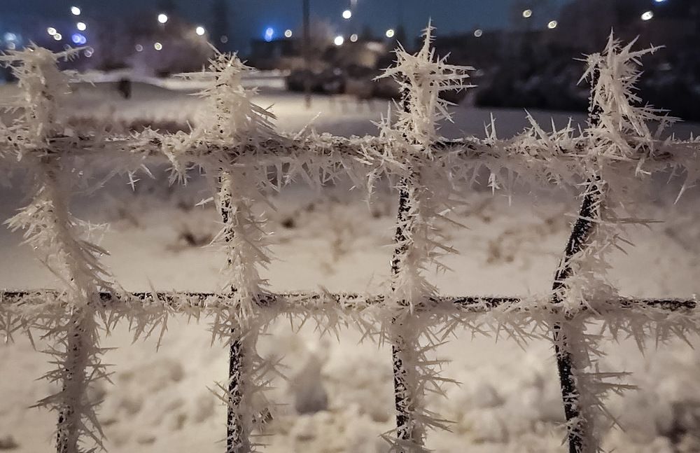 Photograph by Aleksandr Barsukov