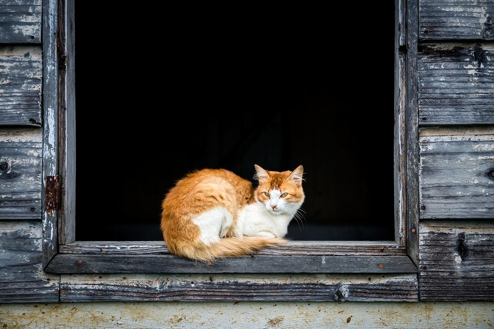 Photograph by Aritra Nath