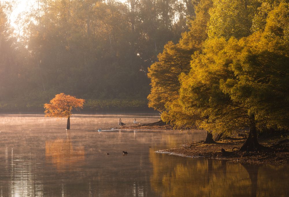 Photograph by Valdir Hobus