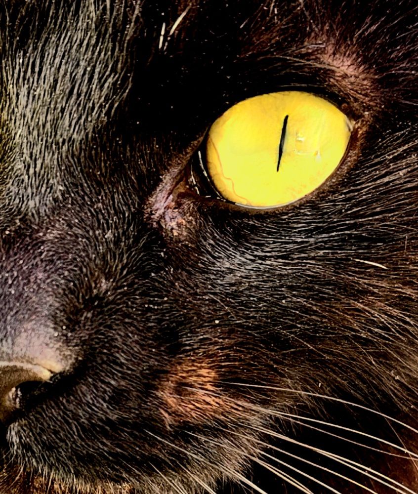 Photograph by Natalia