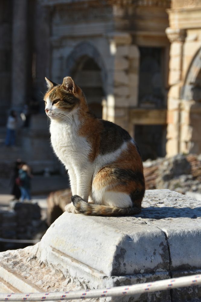 Photograph by Евгений Захаров