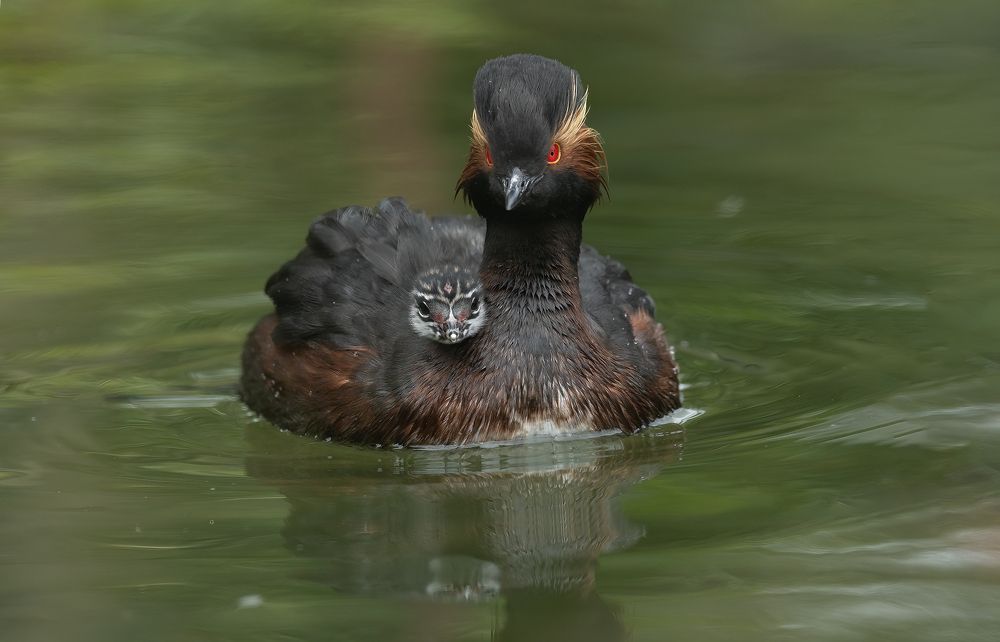 Фотография автора MARIA KULA