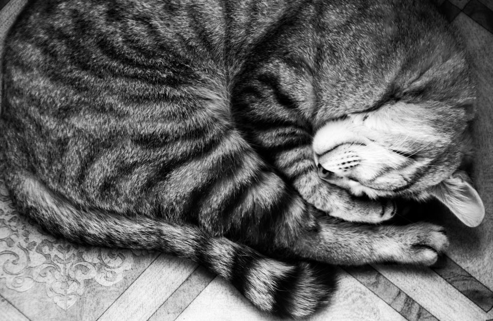 Photograph by Марина