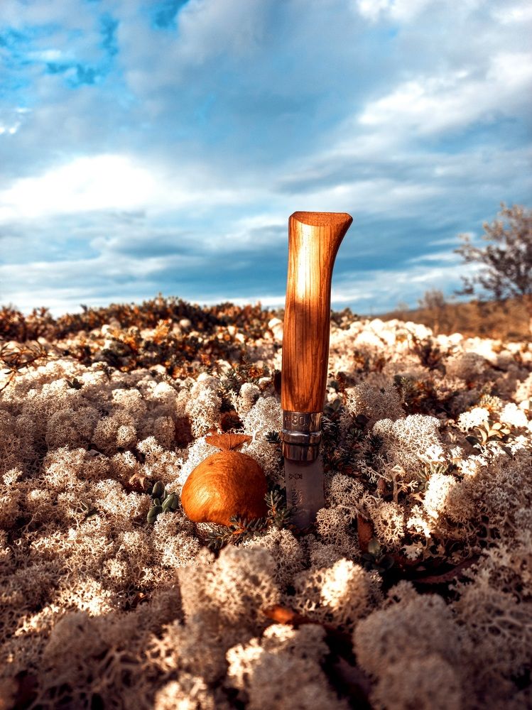 Photograph by Мария Добычина