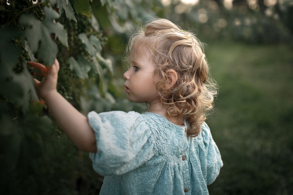 Photograph by Anna Zinn