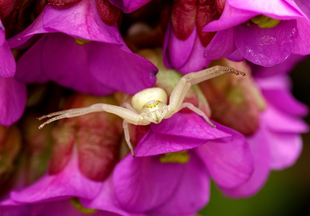 Photograph by Пётр Калачев