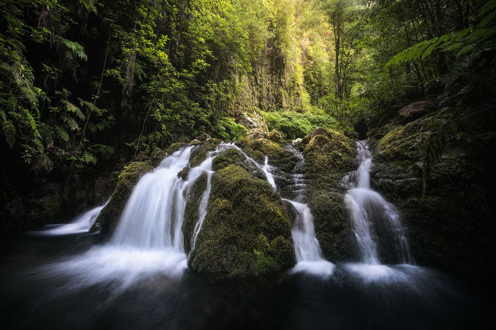 Photograph by Carlos André Silva Antunes