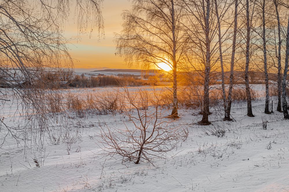 Photograph by Елена Сергеев