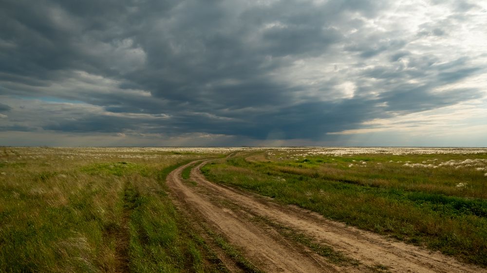 Калмыцкие степи