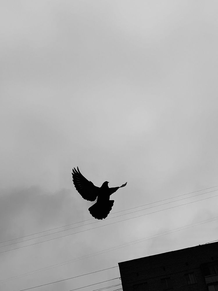 Photograph by Елена Макуха