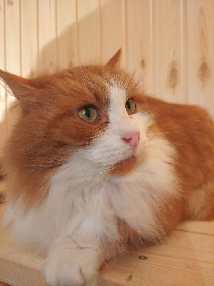 Photograph by Елена Коробченко