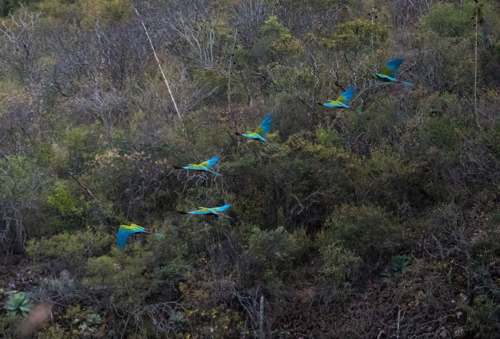 Photograph by Daniel Maraña