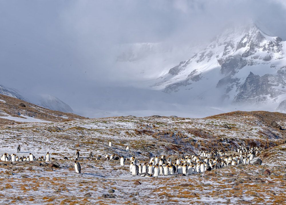Фотография автора andrey gagarin