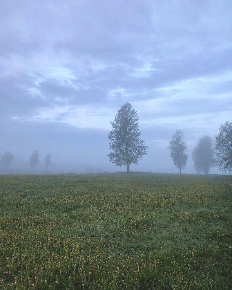 Photograph by Лариса Акинчиц