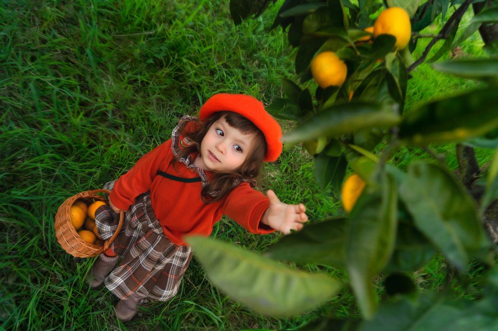 Photograph by Aleksandra R