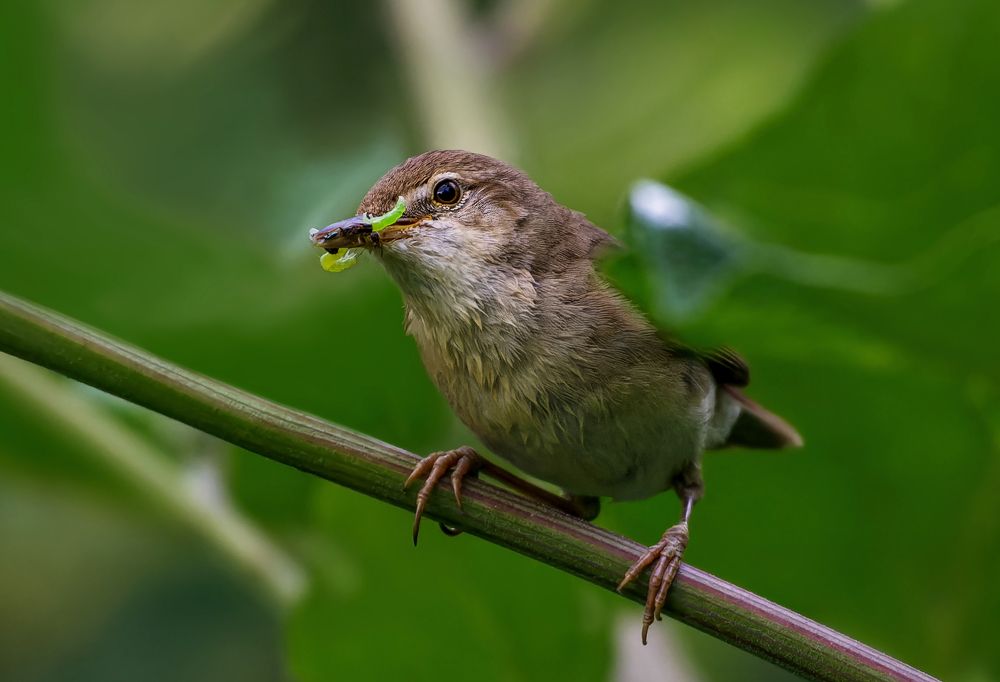 Photograph by Александр Перегудов