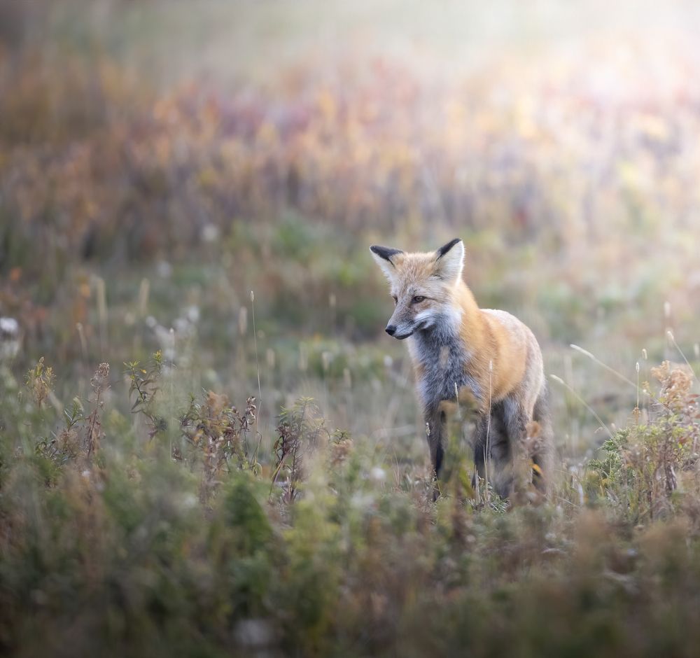 Photograph by Dane Madsen